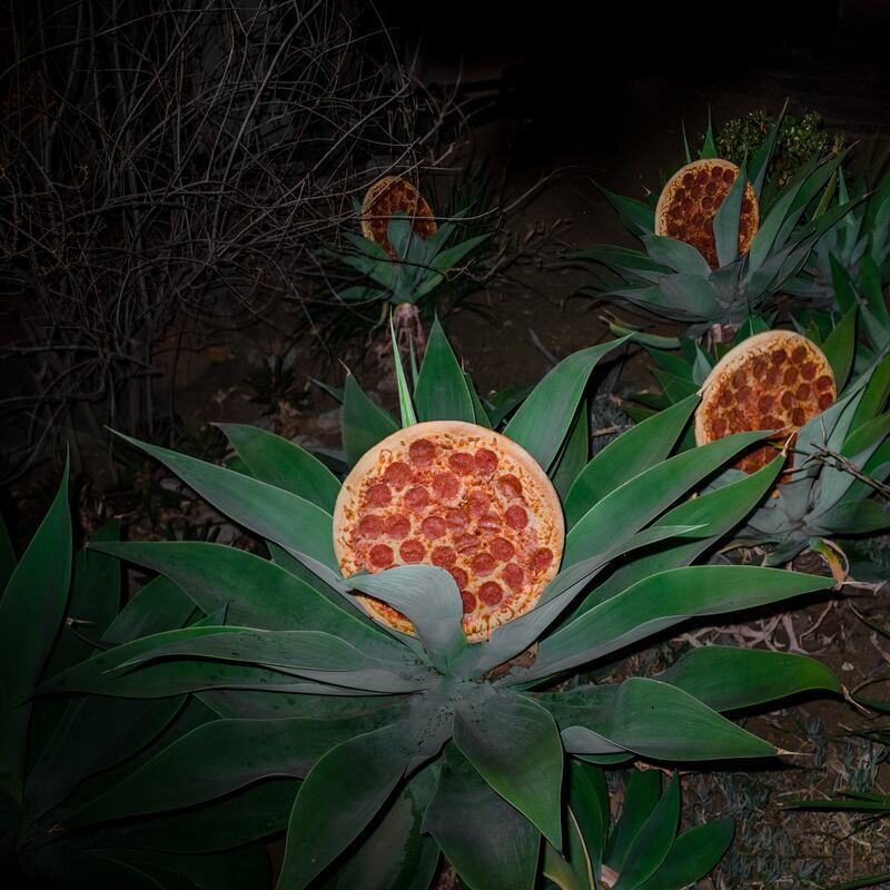 galleries/2014/03/15/pizza-in-the-wild-jonpaul-douglass-photographs-our-favorite-food-in-nature/140312-pizza_plants_rgjkds