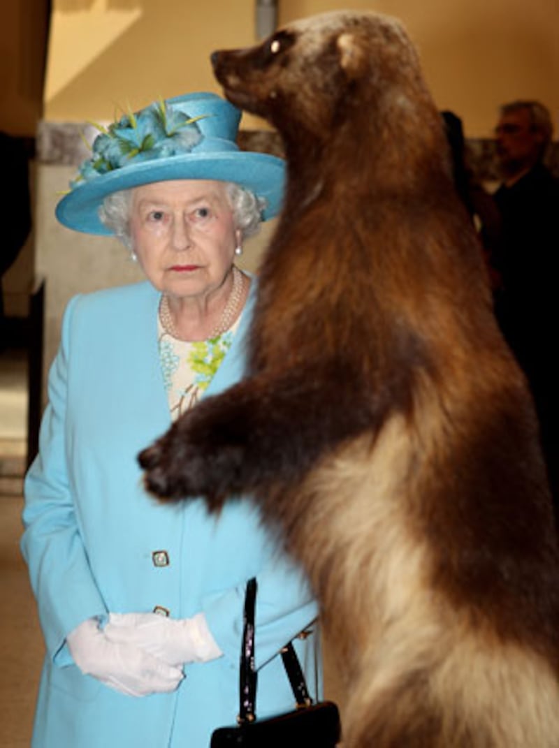 galleries/2010/07/06/queen-elizabeth-style/queen-style-11_nvzsfe