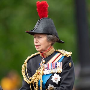 Princess Anne has been hospitalized with minor injuries and concussion, Buckingham Palace said.