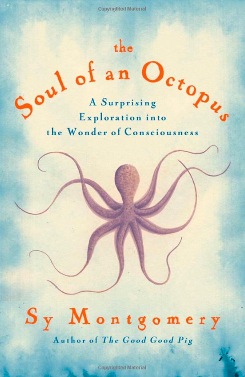 articles/2015/05/22/does-the-octopus-have-a-soul/150521-oconnor-octopus-embed_a7mri6