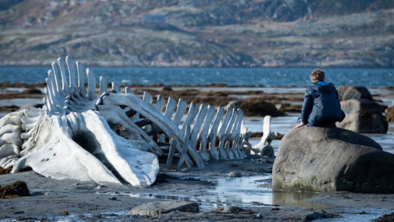 articles/2014/05/27/inside-leviathan-russian-filmmaker-andrey-zvyagintsev-s-award-winning-anti-putin-cannes-film/140525-stern-leviathan-embed_ui2pli