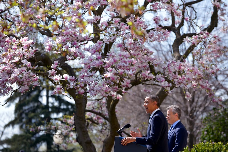 galleries/2013/04/11/spring-in-bloom-around-the-world/130410-spring-washington-dc-02_t0x9yr