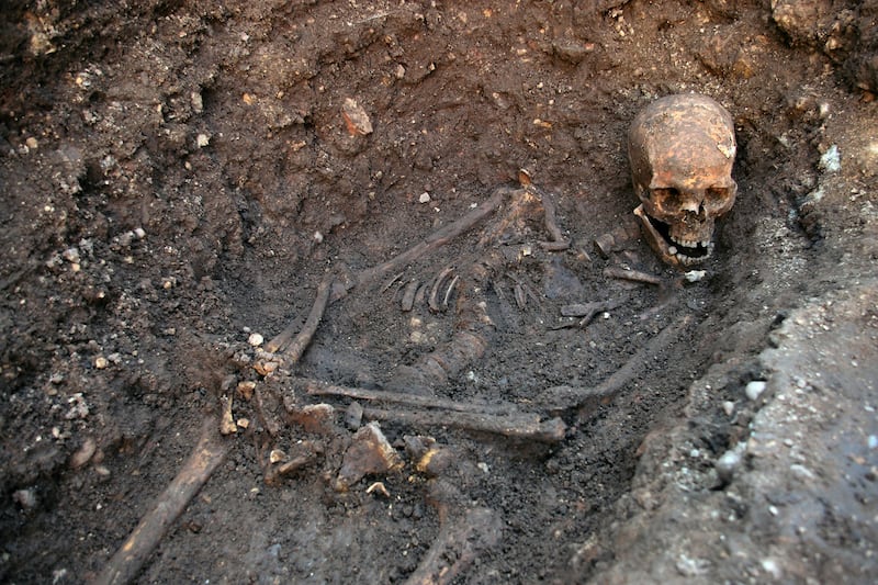 articles/2013/02/05/we-told-you-so-richard-iii-society-celebrates-their-hero-s-rediscovery/130205-king-richard-iii-jones-embed_zowa07