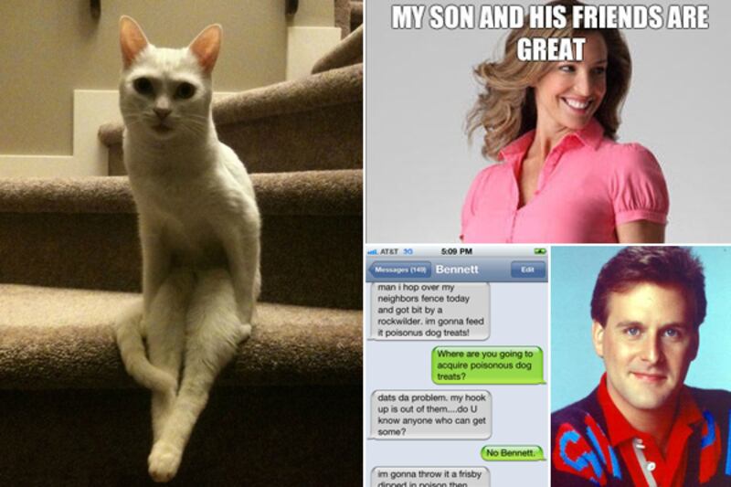 galleries/2011/12/03/cat-sitting-on-staircase-texts-from-bennett-and-other-memes-photos/week-in-memes-tease_pycfzi