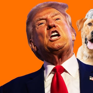 Photo Illustration of Donald Trump, JD Vance and an innocent dog.