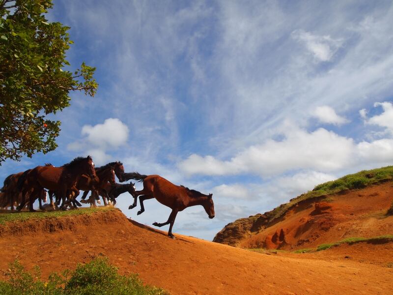 galleries/2013/08/02/stunning-images-from-easter-island-photos/easter-island-4_ys7rxf