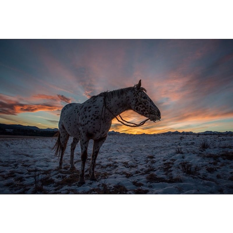 galleries/2015/12/26/the-revenant-cinematographer-emmanuel-lubezki-s-stunning-photography/151225-yamato-revenant-gal-01_lsbvuy