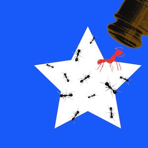 A photo illustration of a court gavel and white star covered in ants on a blue background.