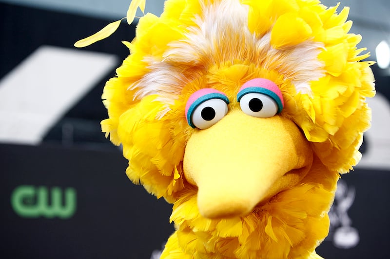 articles/2012/10/04/q-a-where-does-big-bird-stand-on-politics/big-bird-politics-fallon_o1ugpk