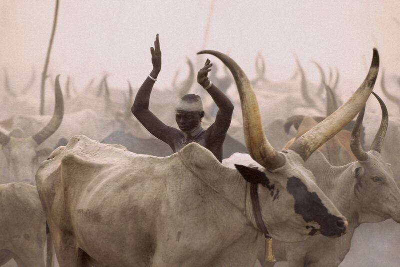 galleries/2010/10/19/dinka-legendary-cattle-keepers-of-sudan/dinka-8_oylibu