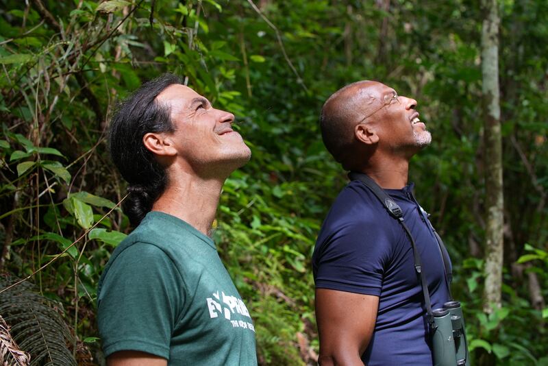 Christian Cooper and Jorge Perez look up towards trees in Puerto Rico