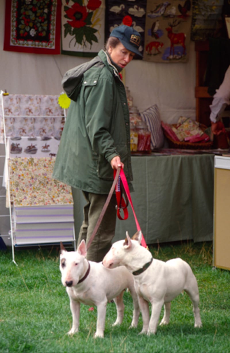 galleries/2012/02/02/prince-william-and-kate-s-new-puppy-joins-long-history-of-royal-dogs-photos/princess-anne-royal-dogs_ixgu25