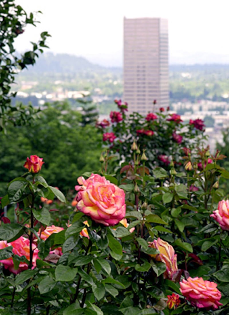 galleries/2010/04/17/pot-smoking-cities/smartest-cities---portland_mgmulj