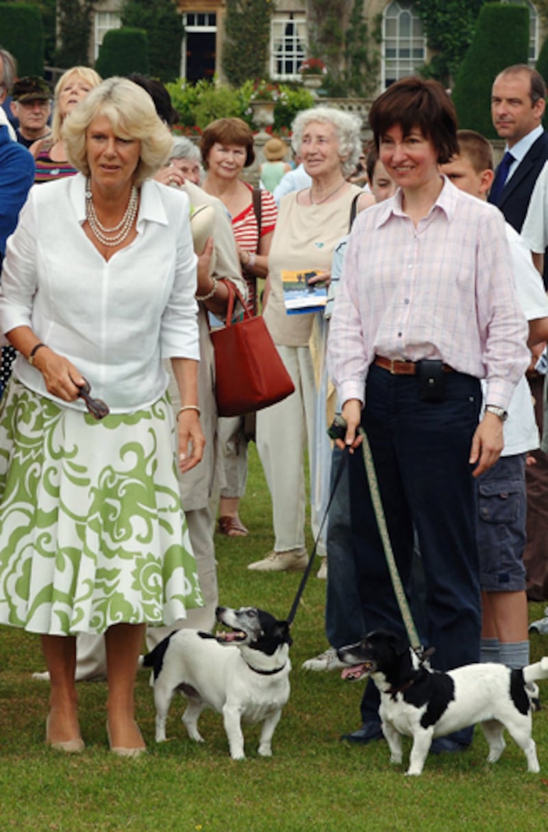 galleries/2012/02/02/prince-william-and-kate-s-new-puppy-joins-long-history-of-royal-dogs-photos/camilla-royal-dogs_qlbhjw