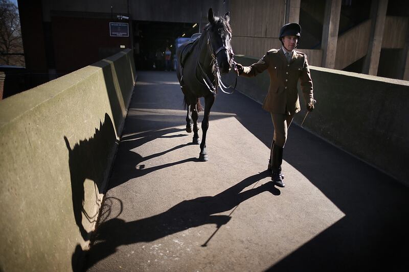 galleries/2012/03/29/pomp-circumstance-and-manure-a-day-in-the-life-of-the-royal-household-cavalry/household-cavalry-9_labrrb