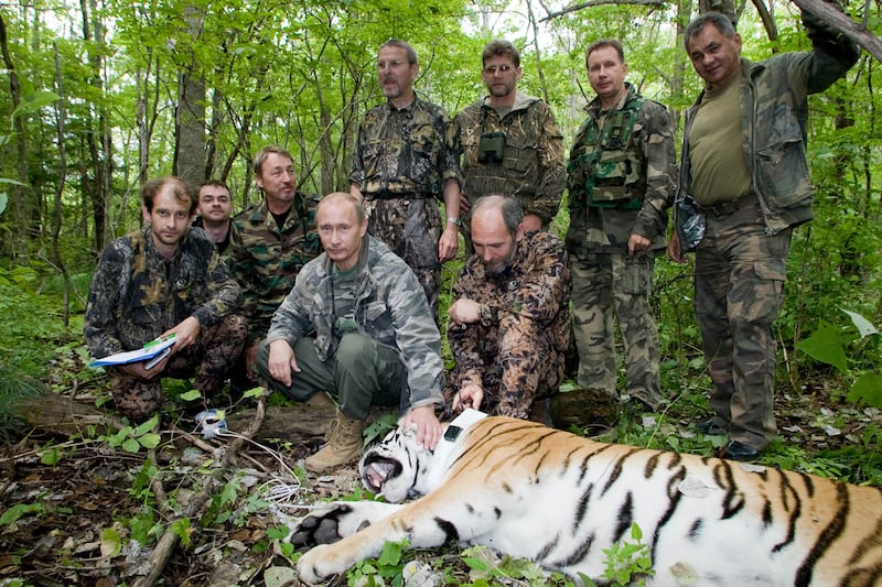 galleries/2013/09/05/17-photos-of-putin-schmoozing-with-animals-photos/130904-putin-tinger_fkykkb