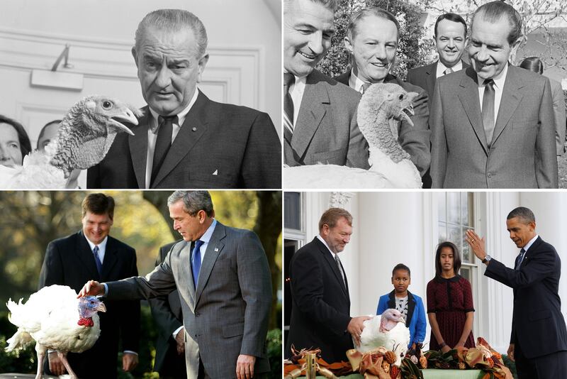 galleries/2012/11/21/barack-obama-bill-cinton-more-presidential-turkey-pardons-photos/20pardon-intro_gziuxz