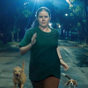 A still from Nightbitch featuring Amy Adams