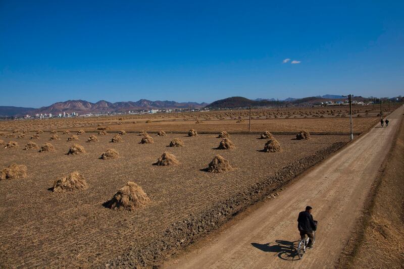 galleries/2011/12/20/life-inside-north-korea-photos/life-in-north-korea-hay_padrpi