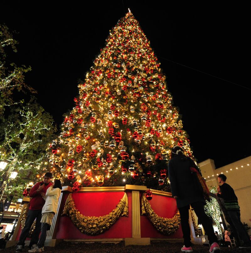 galleries/2011/12/23/spectacular-christmas-trees-photos/christmas-trees-los-angeles_tquymy