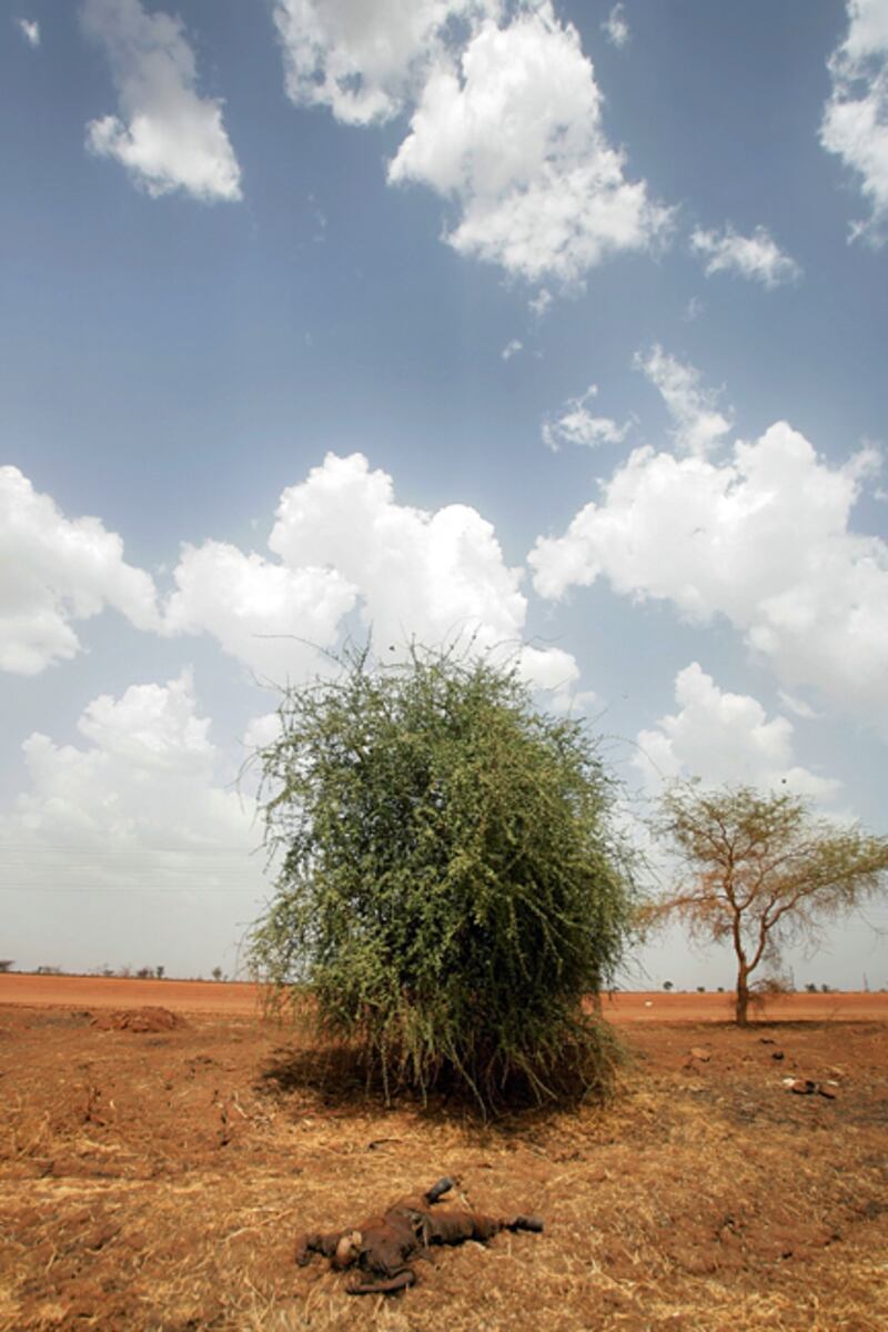 galleries/2012/04/24/sudan-bombs-south-sudan-after-oil-field-fight-photos/south-sudan-conflict-11_dpl2ho