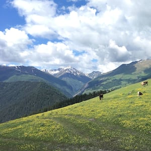 190303-kemper-caucus-mountains-hero_dffupf